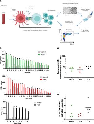 The self-reactive FVIII T cell repertoire in healthy individuals relies on a short set of epitopes and public clonotypes